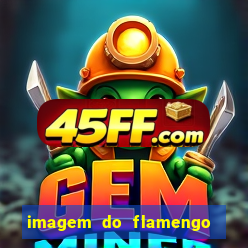 imagem do flamengo para perfil